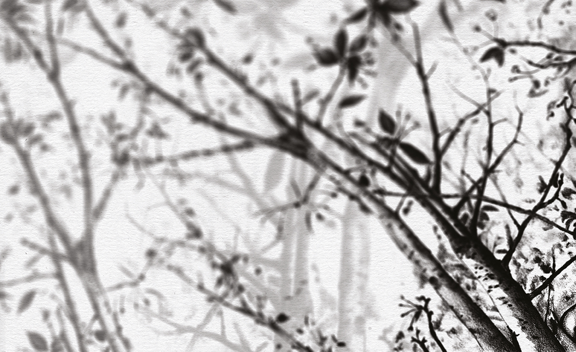  Обои Skinwall Contemporary Collection