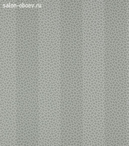Обои Colefax and Fowler Chartworth Stripes