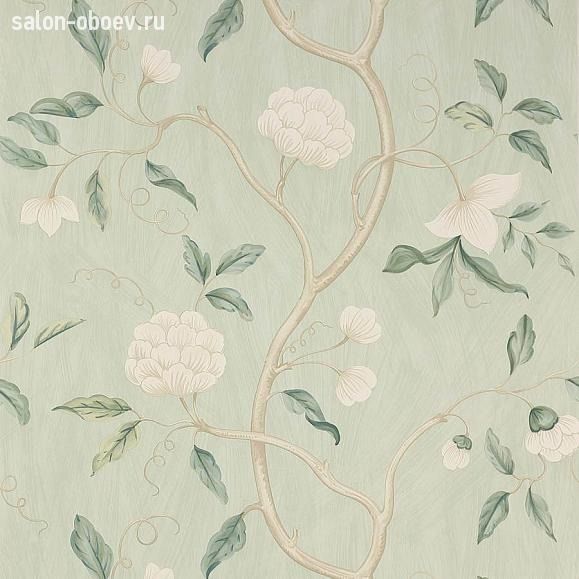 Обои Colefax and Fowler Jardine Florals