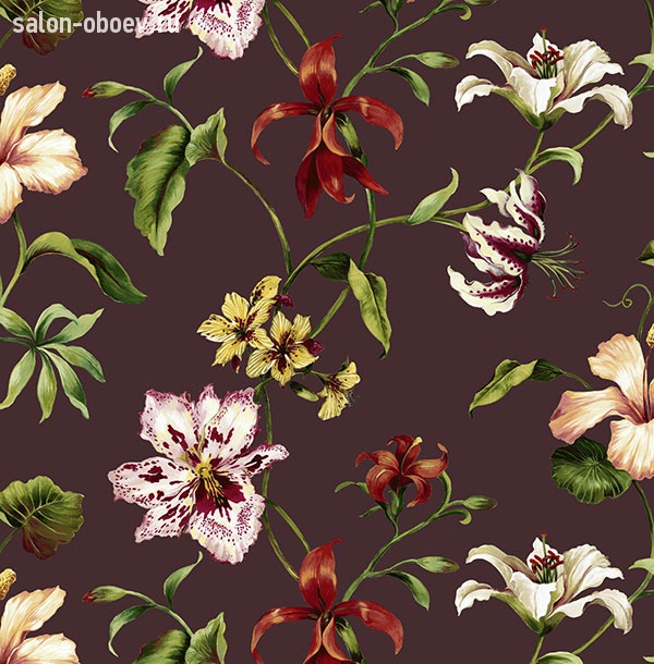 Обои Jaima Brown Charleston Home