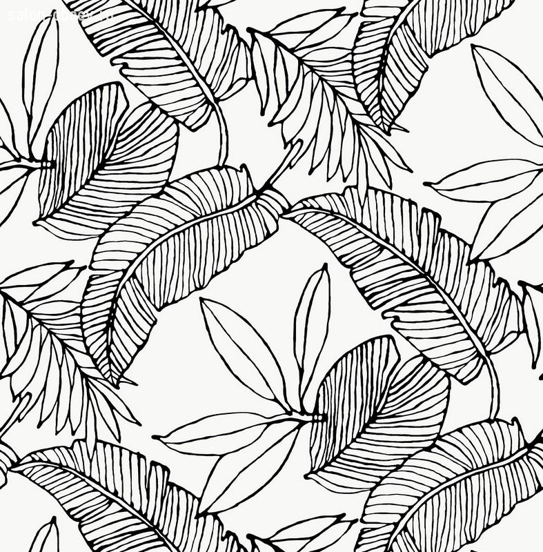 Обои PAPER&INK Pure elements