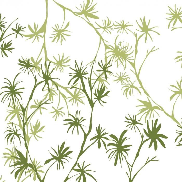 Обои Mr Perswall Accessories