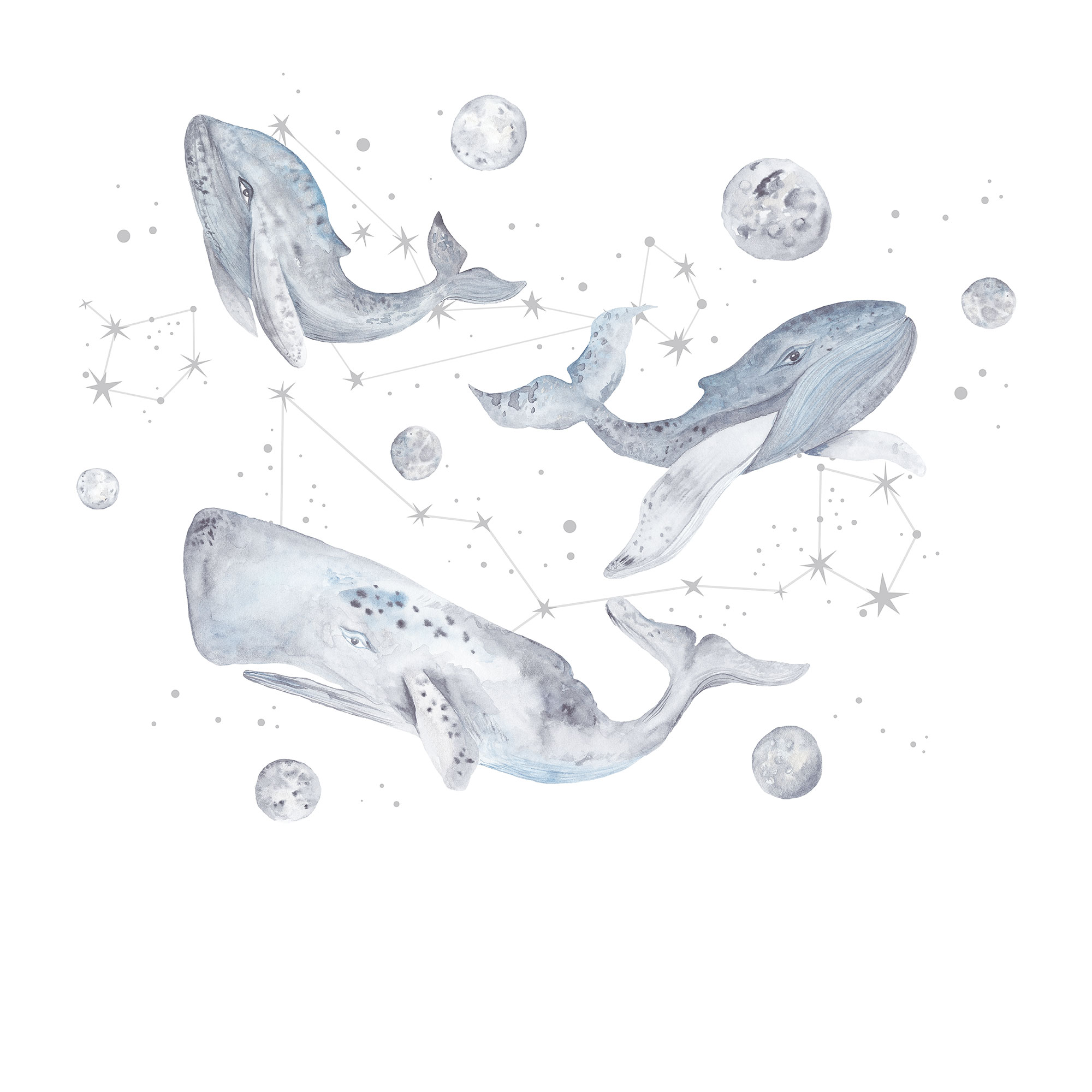 Фрески/Панно ORTOGRAF Сканди