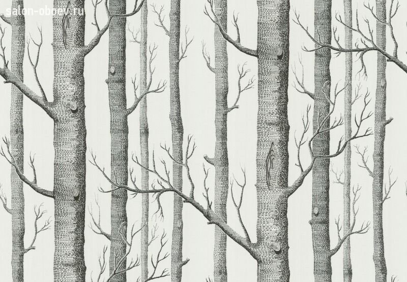 Обои Cole & Son Contemporary Selection