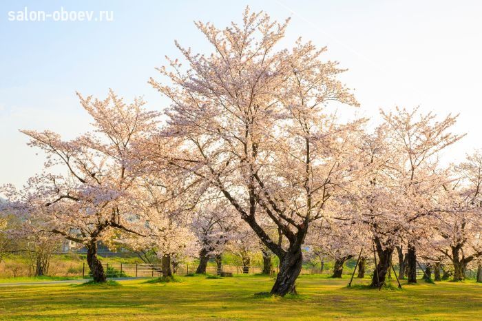Фрески/Панно PINEGIN Лес и деревья