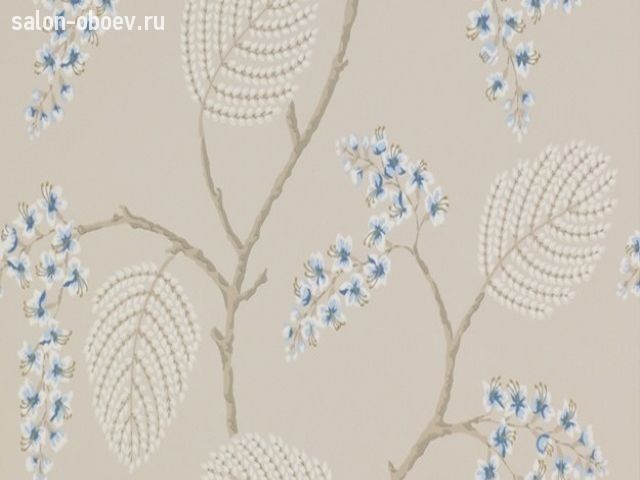 Обои Colefax and Fowler Celestine