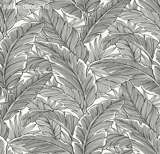 Обои Architector Black & White