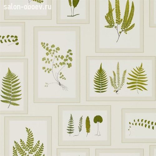 Обои Sanderson Woodland Walk