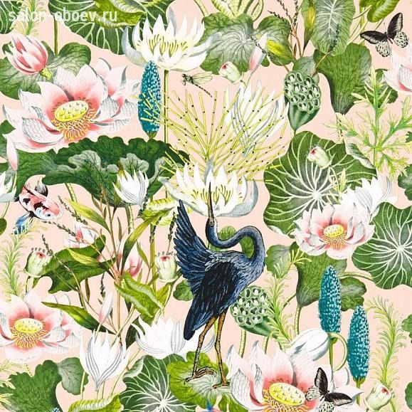 Обои Clarke & Clarke Wedgwood Botanical Wonders