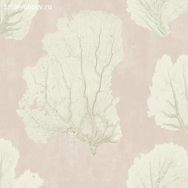 Обои York Aviva Stanoff Signature Collection
