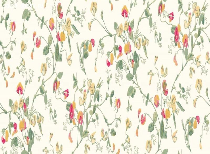Обои Cole & Son Archive Anthology