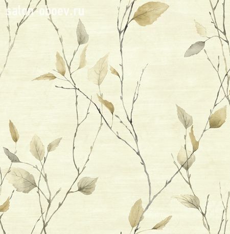 Обои KT Exclusive  Sage II