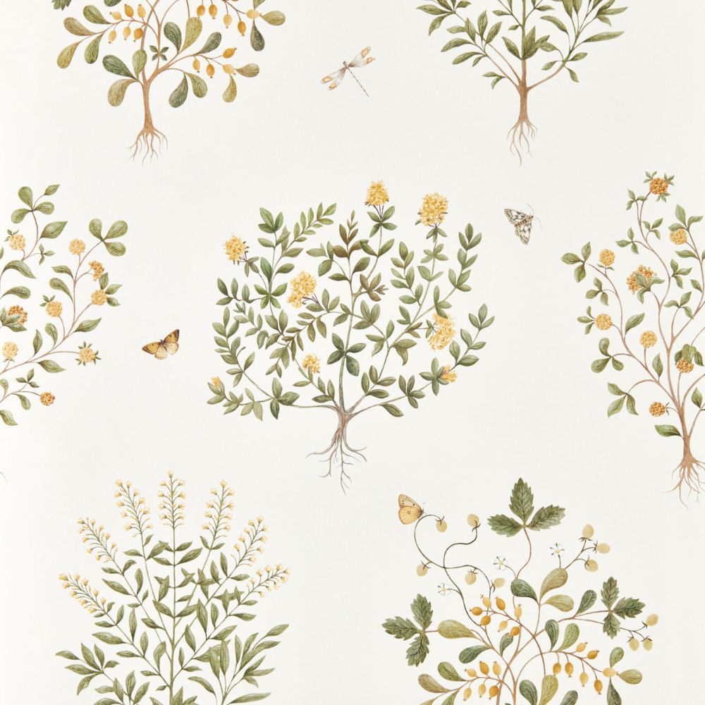 Обои Sanderson Highgrove