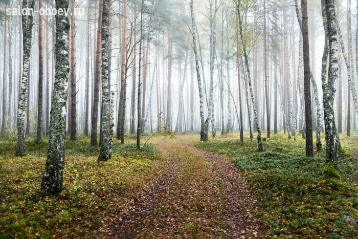 Фрески/Панно PINEGIN Лес и деревья