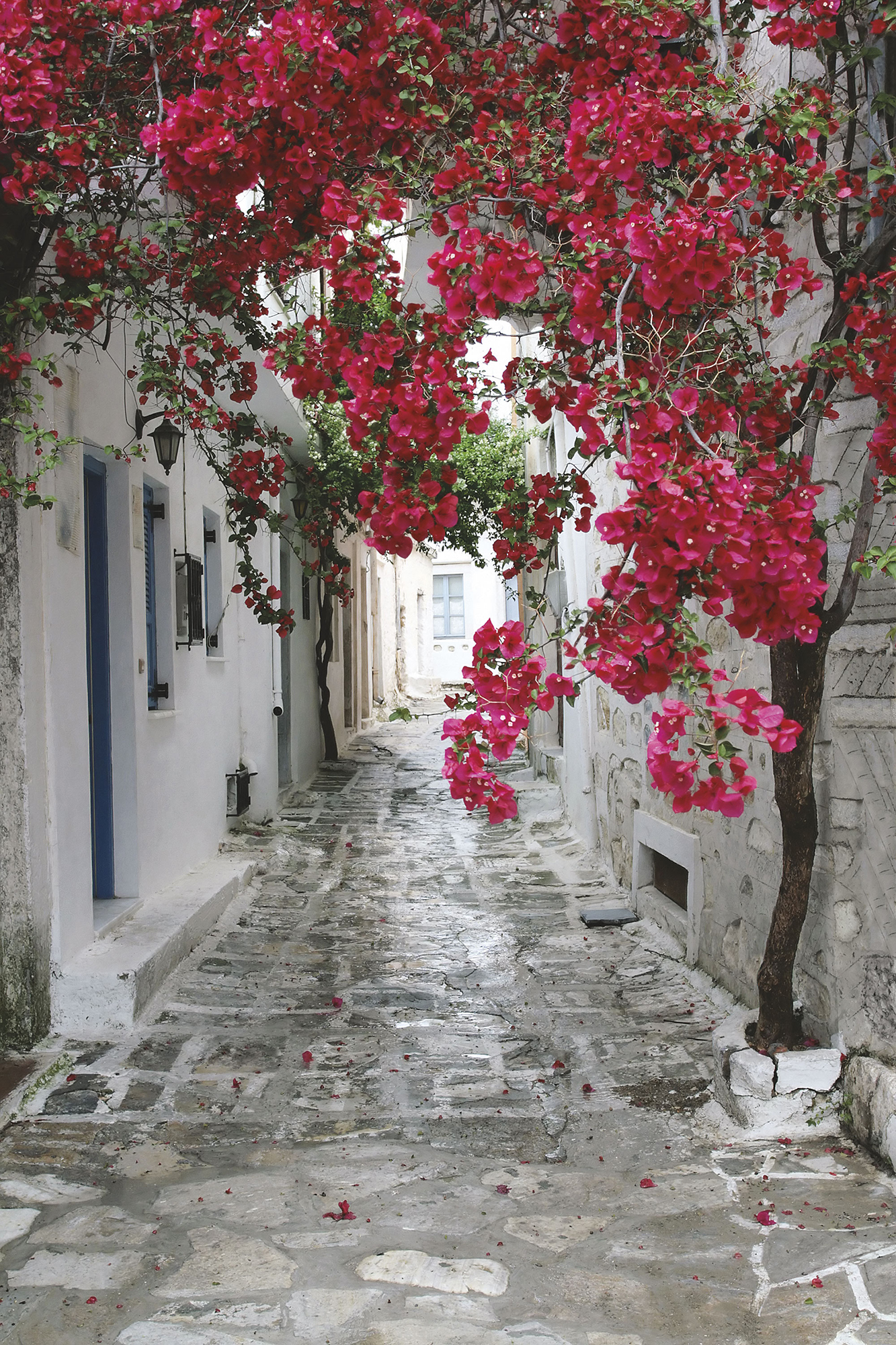 Фрески/Панно ORTOGRAF Города и страны