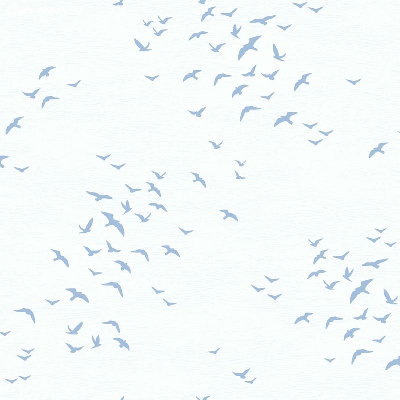 Обои PAPER&INK Navy Grey and White