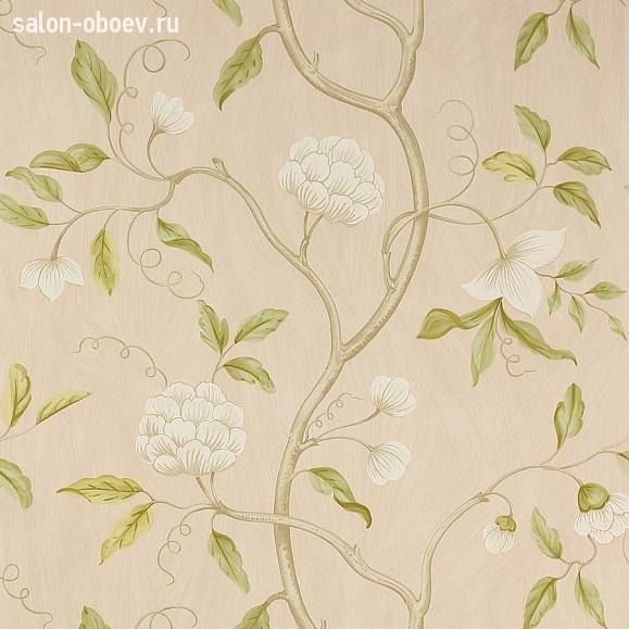 Обои Colefax and Fowler Jardine Florals