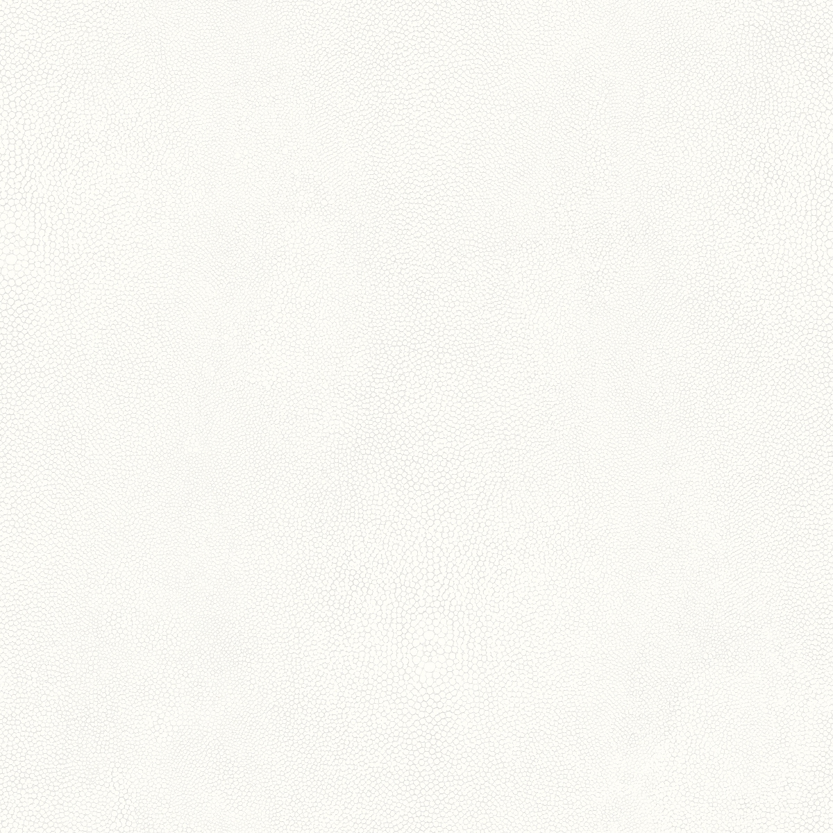 Обои Galerie Natural FX2