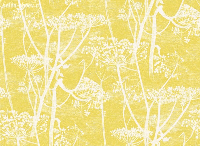 Обои Cole & Son Contemporary Selection