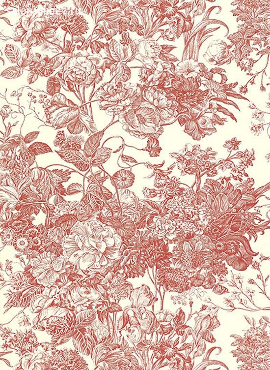 Обои Schumacher Signature Prints