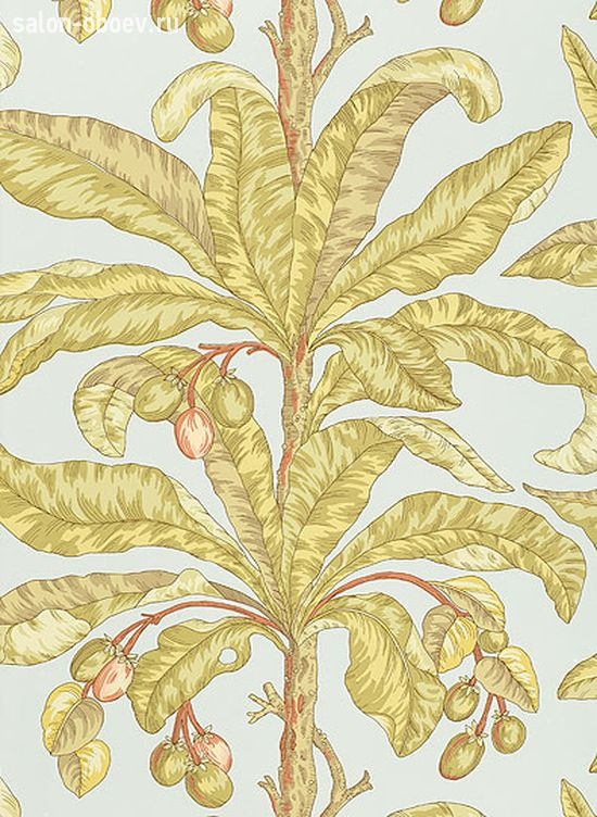 Обои Schumacher Signature Prints