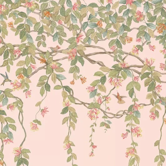 Обои Cole & Son Selection of Hummingbirds Обои Cole & Son Selection of Hummingbirds