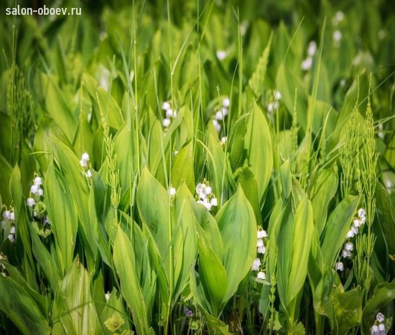 Фрески/Панно PINEGIN Цветы