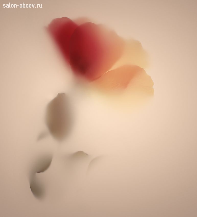 Обои JWall Wonder