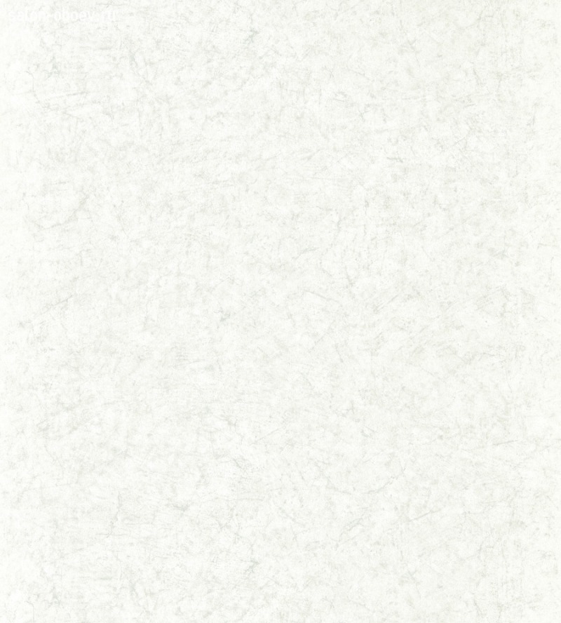 Обои Zoffany Folio