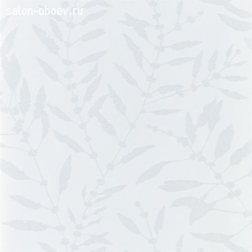 Обои Harlequin ANTHOZOA