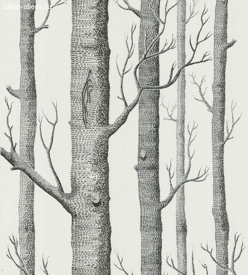 Обои Cole & Son The Contemporary Collection