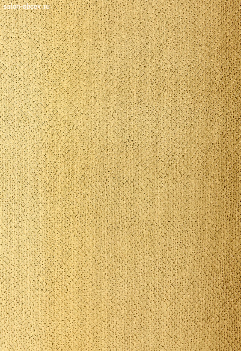 Обои Schumacher Modern Glamour