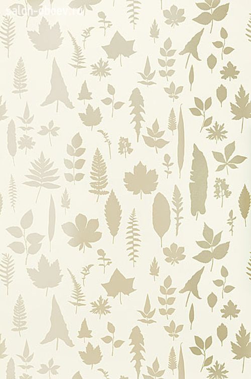 Обои Schumacher Modern Nature