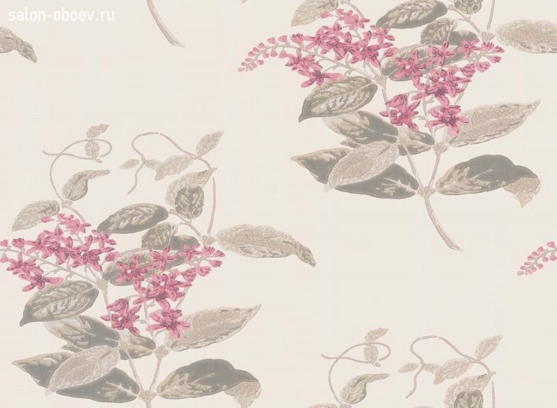 Обои Cole & Son Archive Anthology