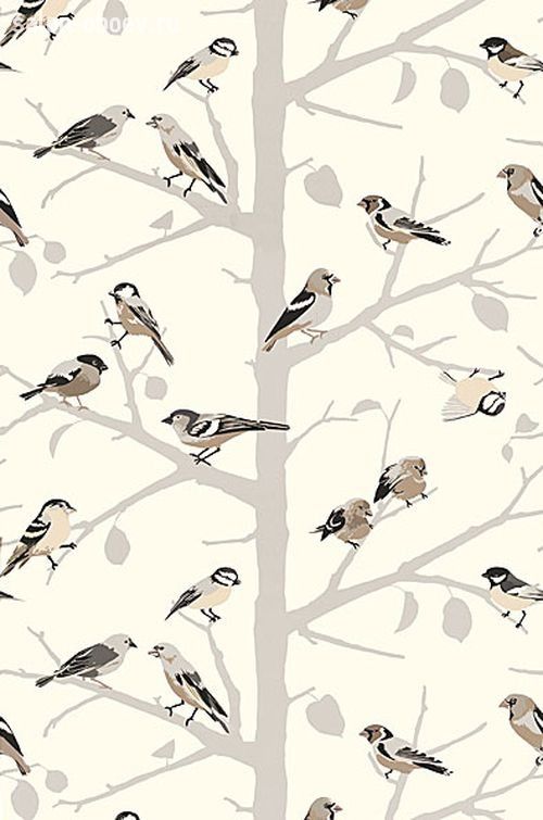 Обои Schumacher Modern Nature