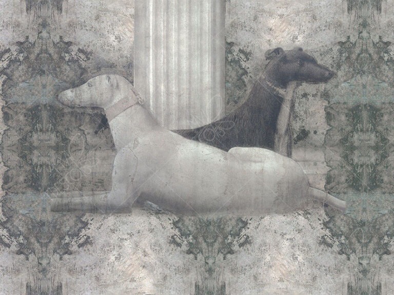 Обои My Fresco Животные и птицы