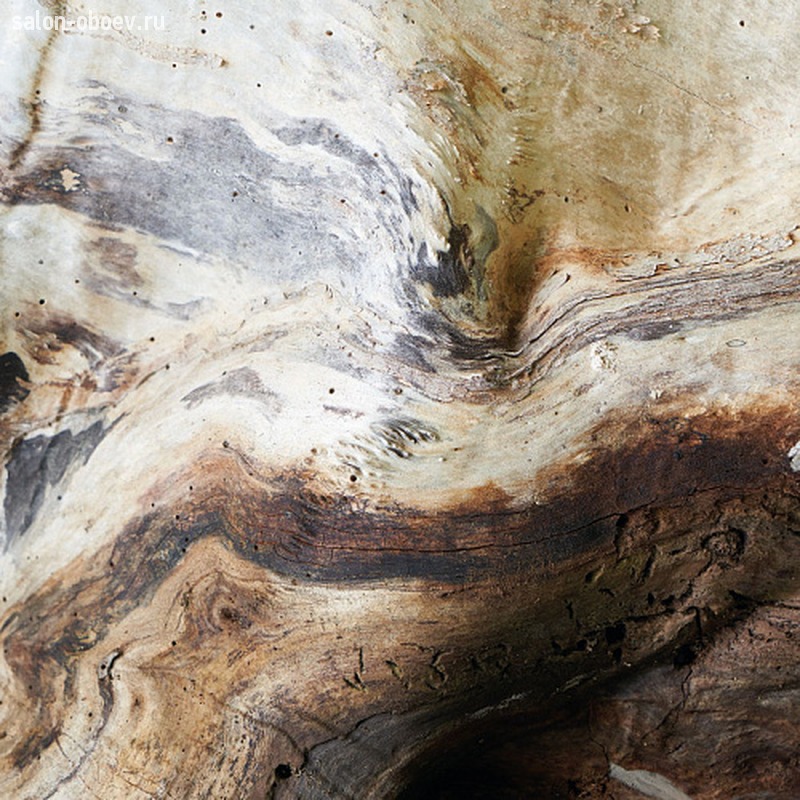 Обои Casadeco Woods