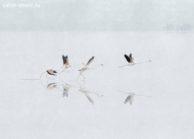 Обои Coordonne Aracne