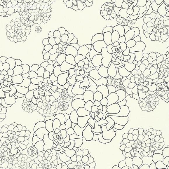 Обои Paint & Paper Library Tresco