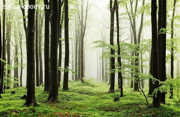 Обои Coordonne Random Papers