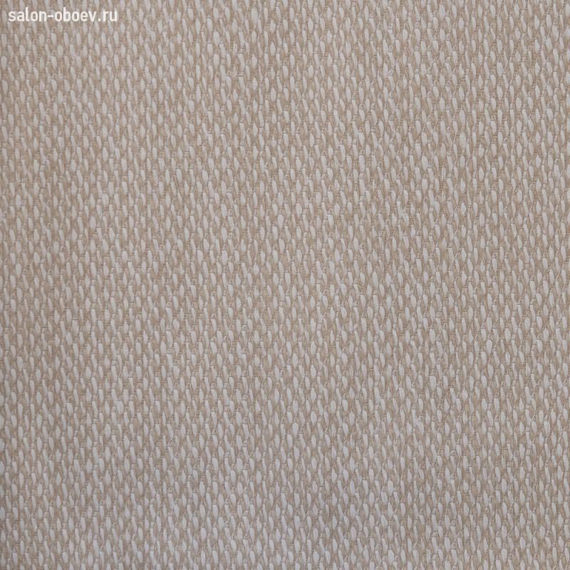 Обои Alessandro Allori Provasi