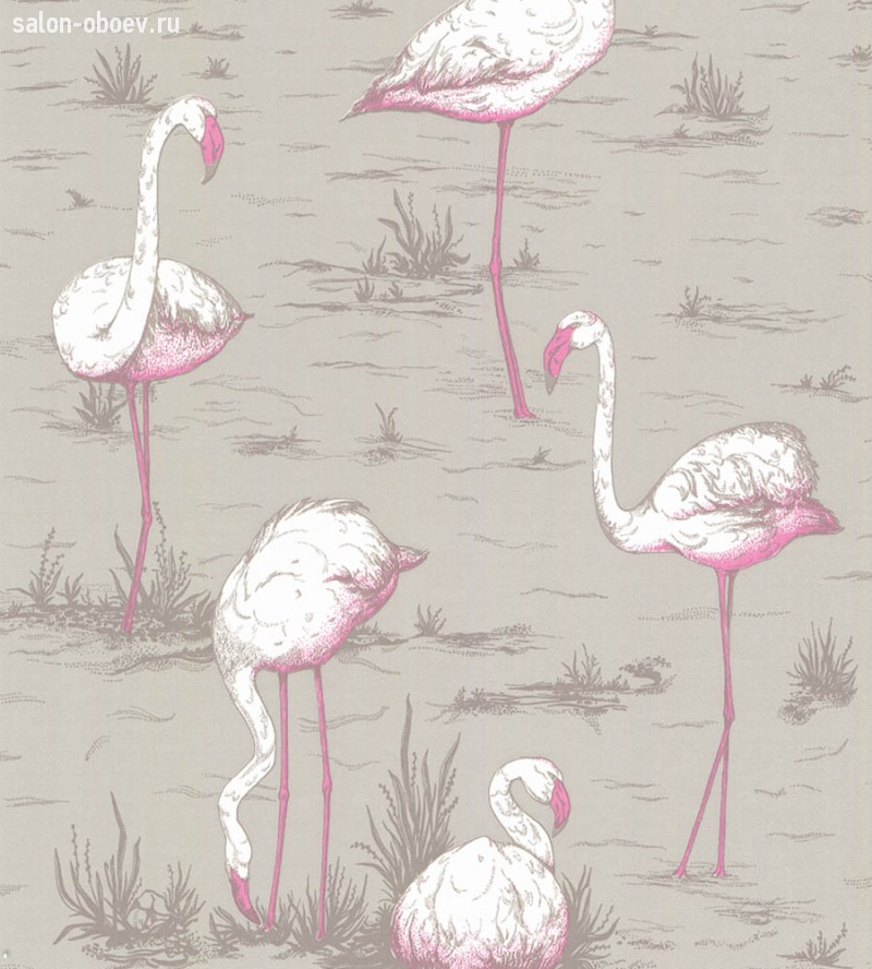 Обои Cole & Son The Contemporary Collection
