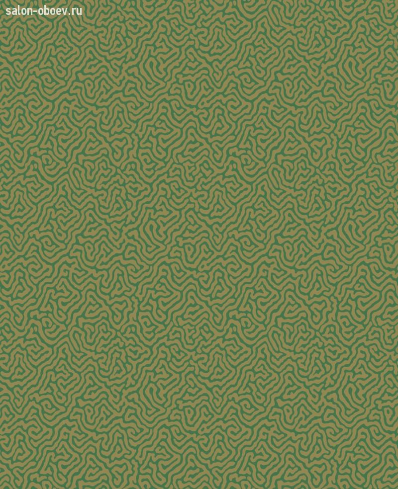 Обои Cole & Son Curio