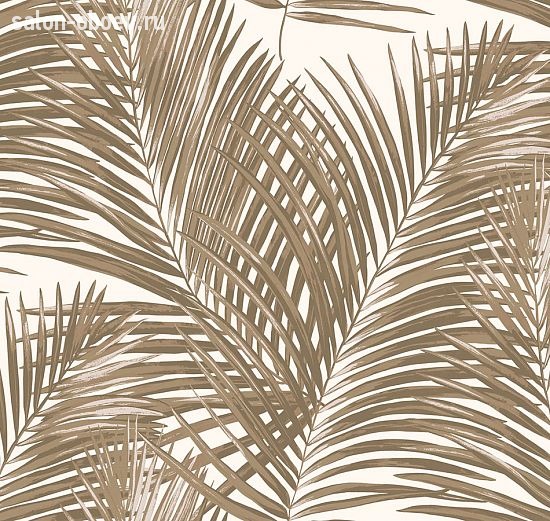 Обои Loymina Amazonia