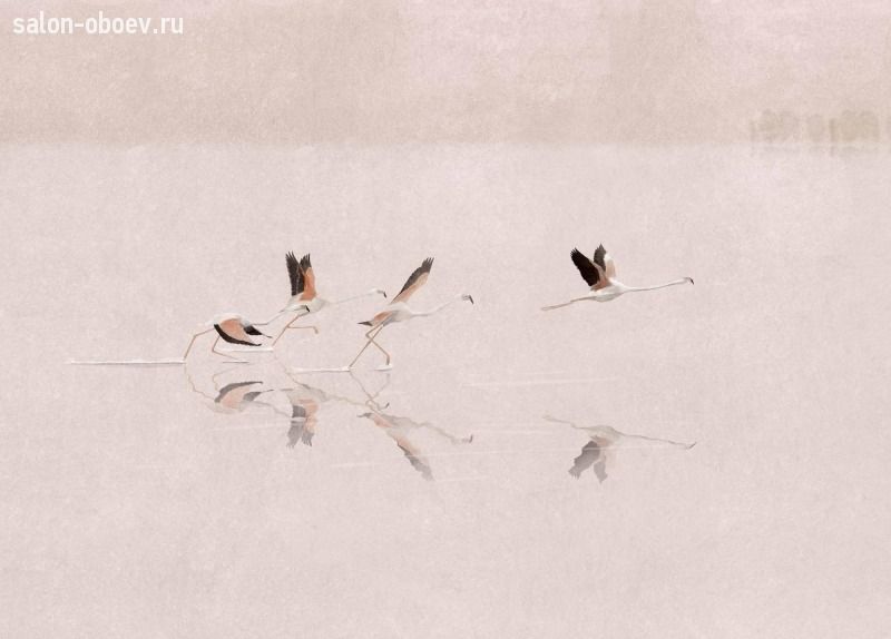 Обои Coordonne Aracne