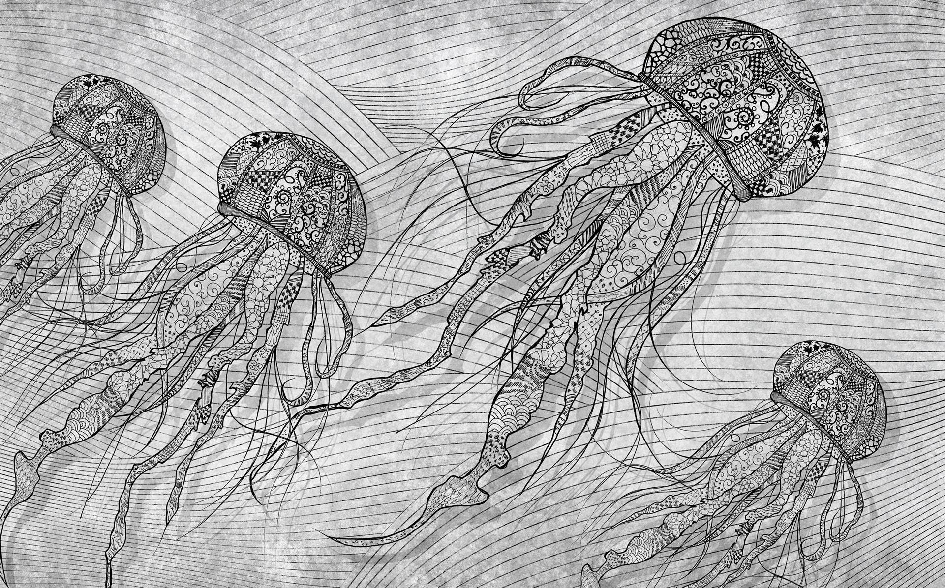  Обои Skinwall Contemporary Collection