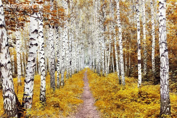 Фрески/Панно PINEGIN Лес и деревья
