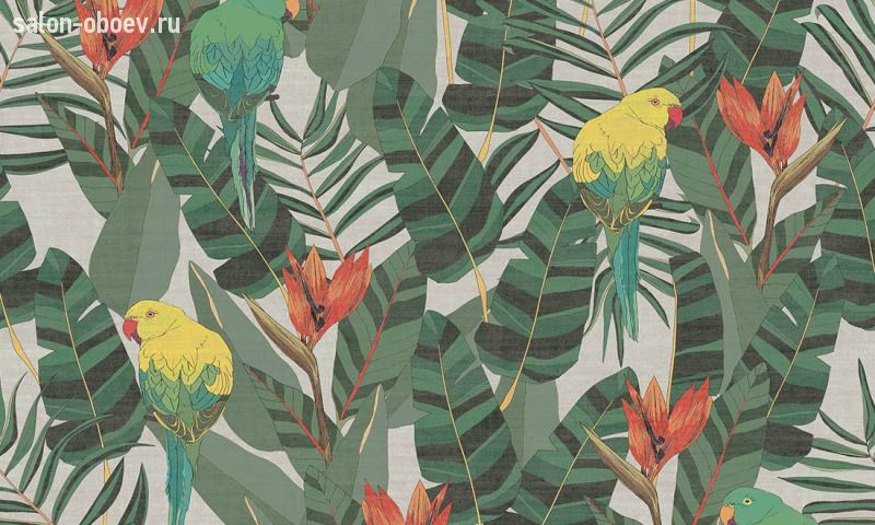Обои Arte Curiosa