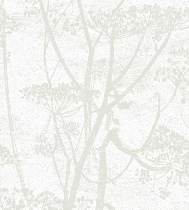 Обои Cole & Son The Contemporary Collection