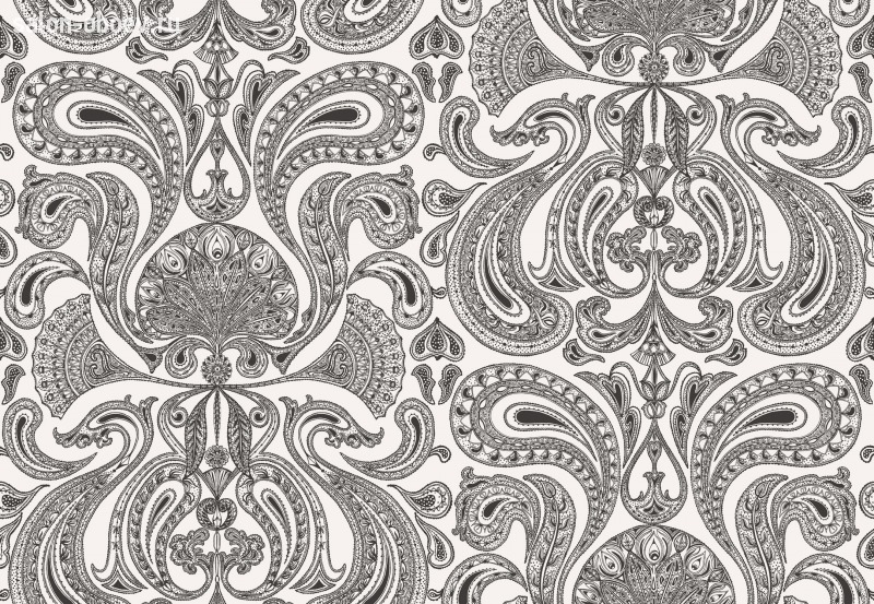 Обои Cole & Son Contemporary Selection
